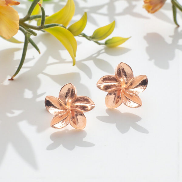 Aretes de puntos de plumeria