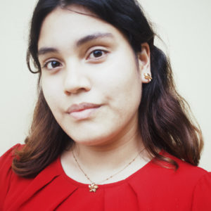 Aretes de puntos de plumeria